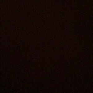 Meet your Posher, Dylan